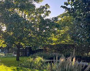 Groene tuin bij Vakantiehuis in Hummelo, Achterhoek, Gelderland.
