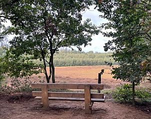 Rustiek bankje met uitzicht in de buurt van Vakantiehuis in Hummelo.