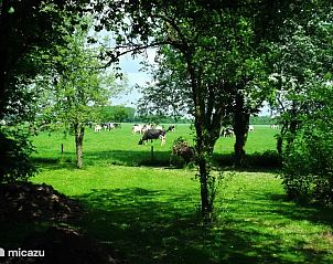 Unterkunft 292906 - Bungalow Achterhoek - Hessenhuisje