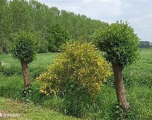 Unterkunft 292906 - Bungalow Achterhoek - Hessenhuisje