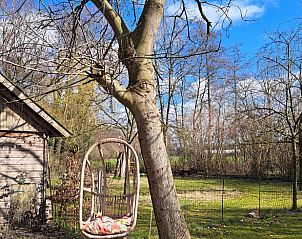 Schommelstoel in de tuin van Vakantiehuisje in Haarlo, ideaal voor ontspanning in de Achterhoek.