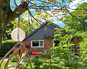 Vakantiehuisje in Haarlo met sfeervolle tuinverlichting, gelegen in de groene Achterhoek.