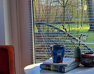 Uitzicht vanuit de woonkamer van Vakantiehuisje in Haarlo, omgeven door natuur in Gelderland.