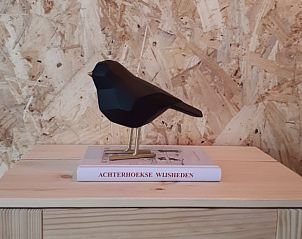 Decoratief vogeltje in Vakantiehuisje in Haarlo, voegt charme toe aan je verblijf in de Achterhoek.