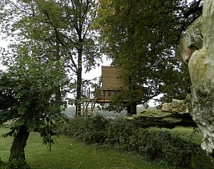 Boomhut in groene omgeving bij Huisje in Haarlo, vakantieverblijf in Achterhoek, Gelderland.