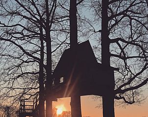 Zonsondergang bij boomhut in Huisje in Haarlo, vakantiewoning in Achterhoek, Gelderland.
