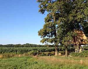 Uitzicht op velden bij Huisje in Haarlo, vakantiehuis in Achterhoek, Gelderland.