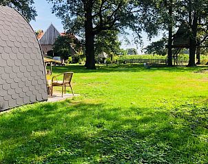 Uitzicht op de omgeving van Huisje in Haarlo, een vakantiehuis in het groene Haarlo, Achterhoek, Gelderland.