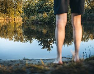 Rustige vijver bij Vakantiehuis in Haarlo, Achterhoek, Gelderland voor ontspanning in de natuur.