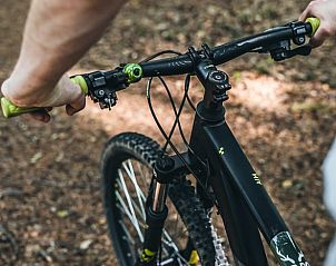 Fietsen door het bos bij Vakantiehuis in Haarlo, Achterhoek, Gelderland voor een actieve dag.