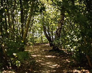 Bosrijke wandelpaden rondom Vakantiehuisje in Haarlo, Achterhoek, Gelderland.