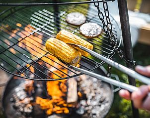 Buiten koken op de barbecue bij Vakantiehuisje in Haarlo, Achterhoek, Gelderland.