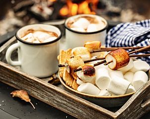 Warme chocolademelk en marshmallows bij kampvuur in Vakantiehuisje in Haarlo, Achterhoek, Gelderland.