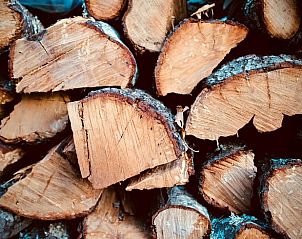 Stapel brandhout bij Vakantiehuisje in Haarlo, Achterhoek, Gelderland voor gezellige avonden bij het vuur.