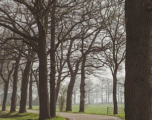 Prachtige laan met bomen in de omgeving van Vakantiehuisje in Haarlo, Achterhoek, Gelderland voor een serene wandeling.