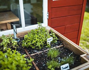 Kruidentuin bij Vakantiehuisje in Haarlo, Achterhoek, Gelderland voor verse ingredinten tijdens je verblijf.