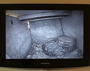 Verblijf 293203 - Vakantiewoning Achterhoek - Vakantiehuis in Wichmond