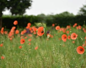 Verblijf 293203 - Vakantiewoning Achterhoek - Vakantiehuis in Wichmond