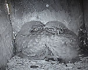 Verblijf 293203 - Vakantiewoning Achterhoek - Vakantiehuis in Wichmond