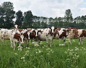 Verblijf 293203 - Vakantiewoning Achterhoek - Vakantiehuis in Wichmond