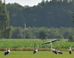 Verblijf 293203 - Vakantiewoning Achterhoek - Vakantiehuis in Wichmond