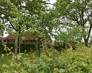 Verblijf 293203 - Vakantiewoning Achterhoek - Vakantiehuis in Wichmond