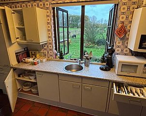 Gezellige ezels bij Vakantiehuis in Wichmond, een charmant verblijf in de Achterhoek, Gelderland.