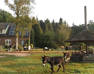 Moderne badkamer in Vakantiehuis in Wichmond, geniet van comfort in de Achterhoek, Gelderland.