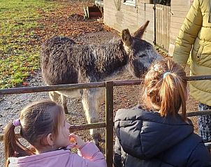 Stijlvolle douche in Vakantiehuis in Wichmond, ervaar luxe in de Achterhoek, Gelderland.