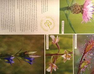 Verblijf 293205 - Vakantiewoning Achterhoek - Vakantiehuis in Wichmond