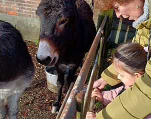 Verblijf 293205 - Vakantiewoning Achterhoek - Vakantiehuis in Wichmond