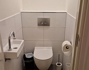 Stijlvolle badkamer in Vakantiehuisje in Wichmond, Achterhoek, met modern toilet en wastafel.