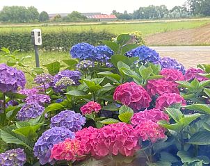 Guest house 293312 - Holiday property Achterhoek - Huisje in Zutphen