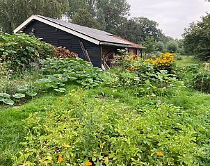 Guest house 293403 - Holiday property Achterhoek - Vakantiehuisje in Geesteren