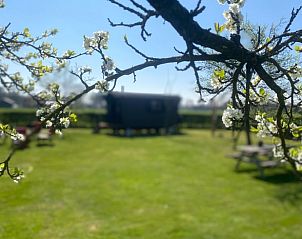 Guest house 293404 - Holiday property Achterhoek - Vakantiehuisje in Geesteren