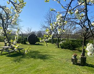 Guest house 293404 - Holiday property Achterhoek - Vakantiehuisje in Geesteren