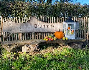 Guest house 293404 - Holiday property Achterhoek - Vakantiehuisje in Geesteren