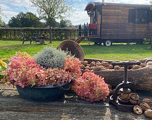 Guest house 293404 - Holiday property Achterhoek - Vakantiehuisje in Geesteren