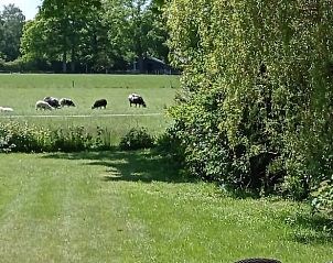 Guest house 293406 - Holiday property Achterhoek - Vakantiehuisje in Geesteren