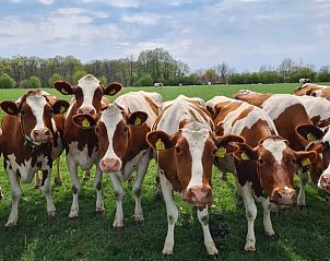 Guest house 293407 - Holiday property Achterhoek - Vakantiehuisje in Geesteren