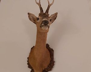 Guest house 293407 - Holiday property Achterhoek - Vakantiehuisje in Geesteren