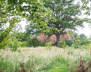 Guest house 293408 - Holiday property Achterhoek - Huisje in Geesteren