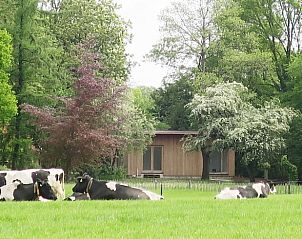 Guest house 293409 - Holiday property Achterhoek - Vakantiehuis in Geesteren