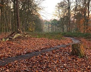 Guest house 293409 - Holiday property Achterhoek - Vakantiehuis in Geesteren