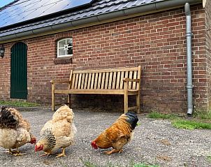 Guest house 293410 - Holiday property Achterhoek - Vakantiehuis in Geesteren