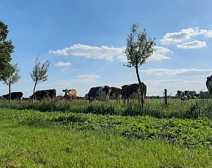 Guest house 293410 - Holiday property Achterhoek - Vakantiehuis in Geesteren