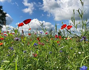 Guest house 293410 - Holiday property Achterhoek - Vakantiehuis in Geesteren