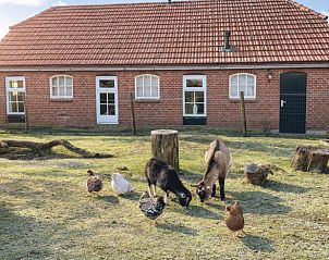 Unterkunft 293414 - Ferienhaus Achterhoek - Vakantiehuisje in Geesteren
