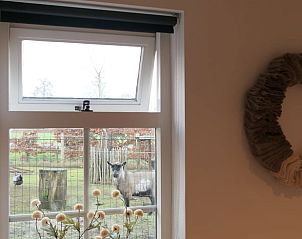 Unterkunft 293414 - Ferienhaus Achterhoek - Vakantiehuisje in Geesteren