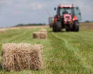 Unterkunft 293415 - Ferienhaus Achterhoek - Huisje in Geesteren